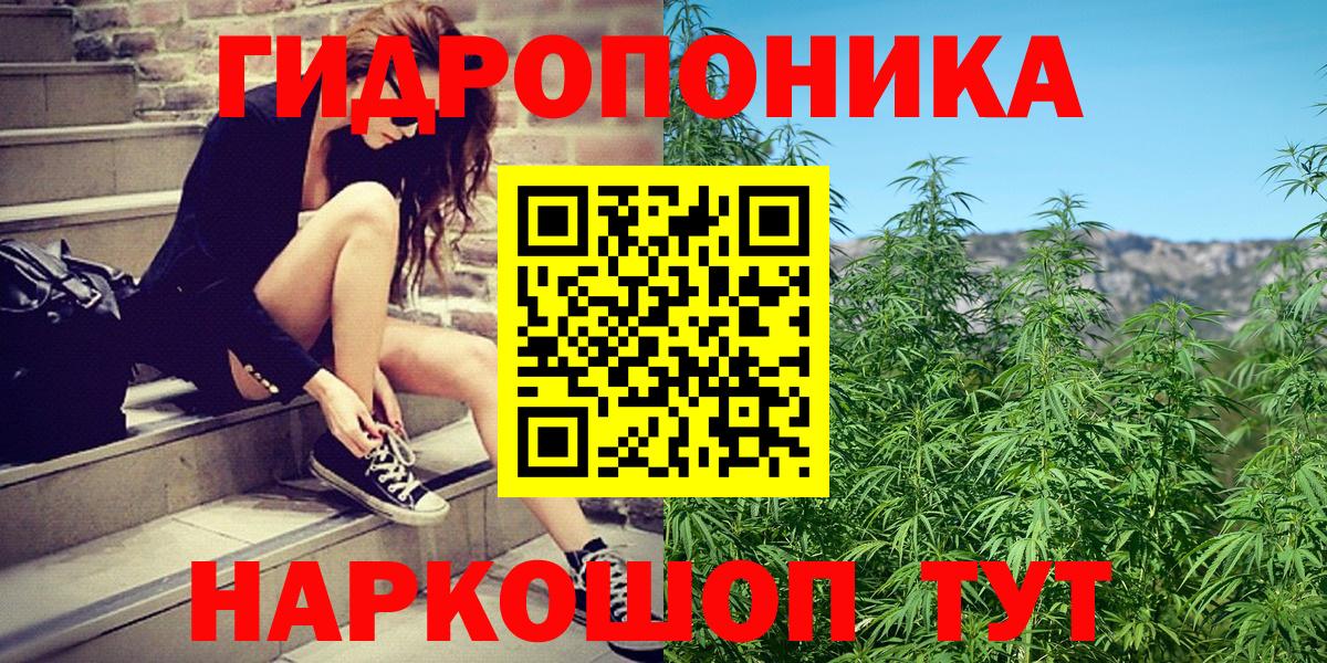 Шишки марихуана SATIVA & INDICA  Бошки Шишки семена  Вход с VPN  Салехард  Марихуана план 